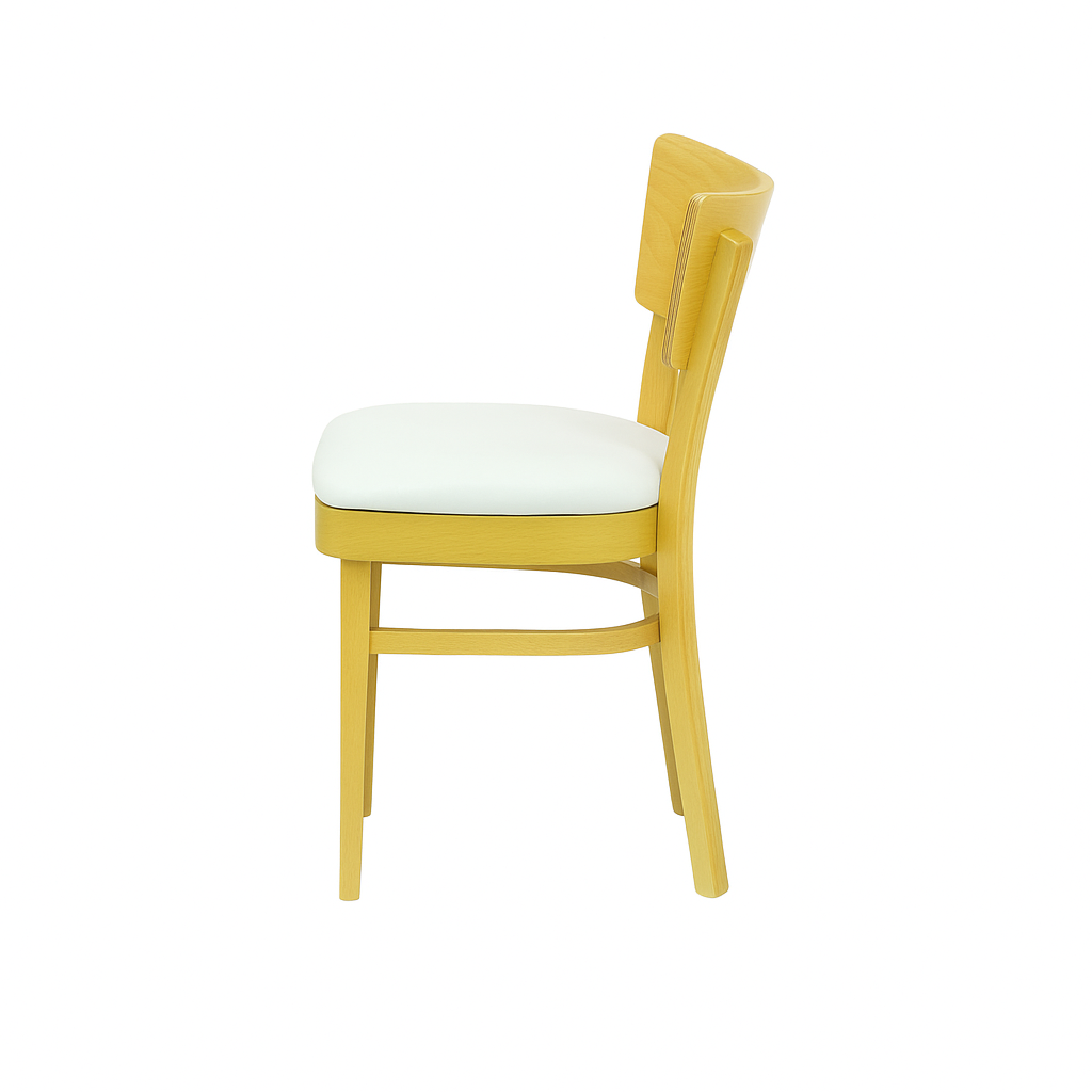 Scaun piele BEJ | model DESA